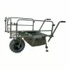 Chariot Carp Spirit Monster Barrow